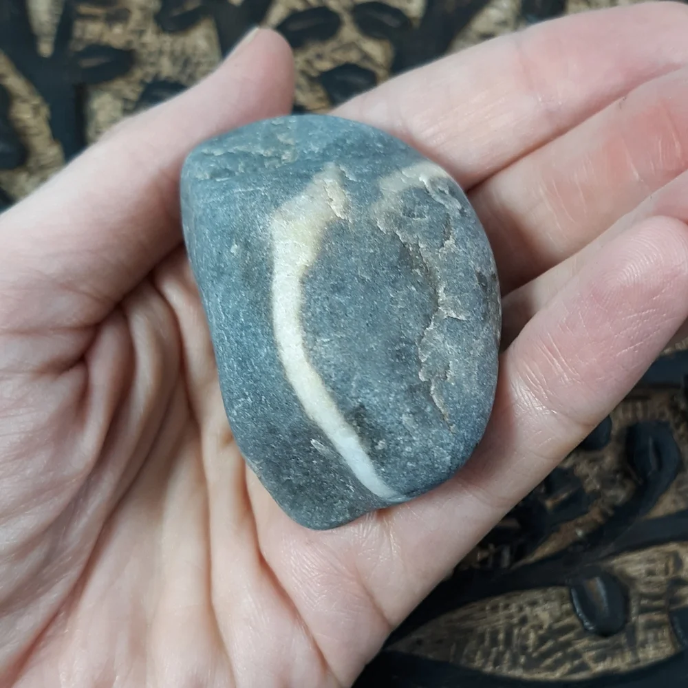 5 Banded Stones East Coast Beach Rocks Raw Rough Mineral Specimens Gray White